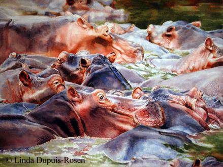 Hippos In Water. The water values were slightly